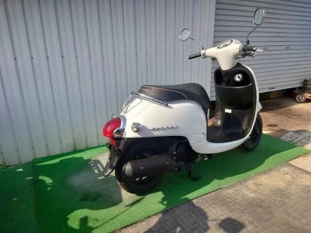 マジジョルノ！！